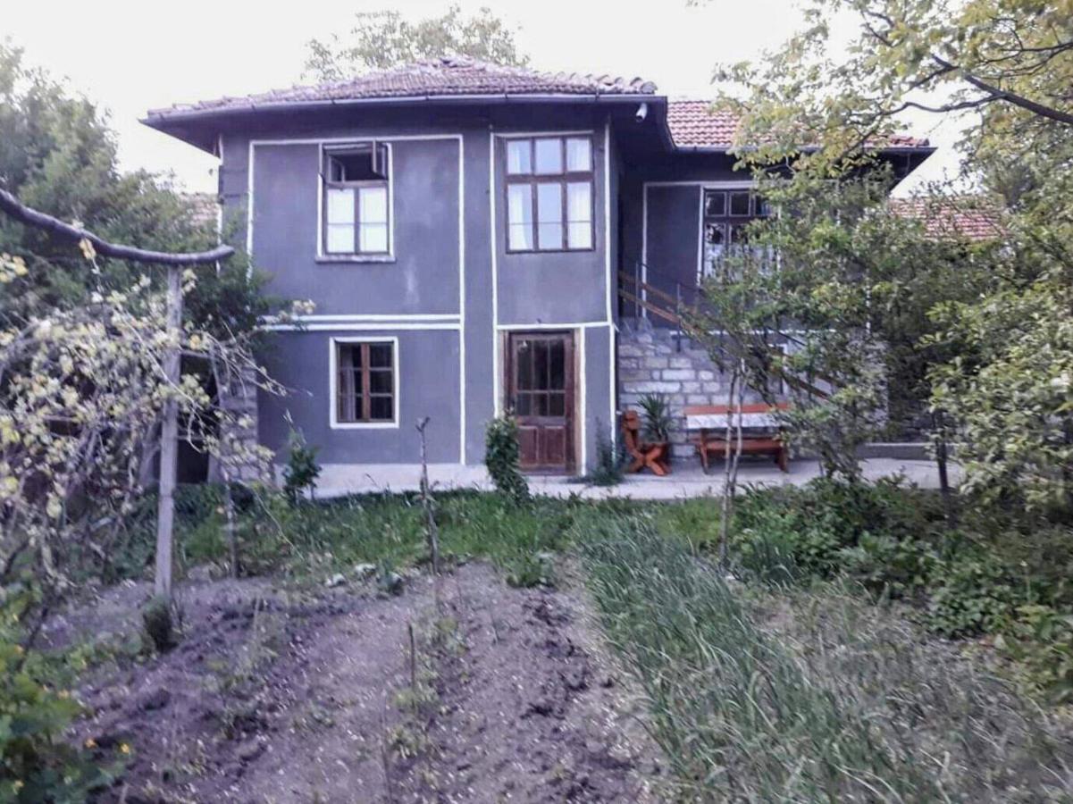 Beefree Villa Gorsko Slivovo Eksteriør billede